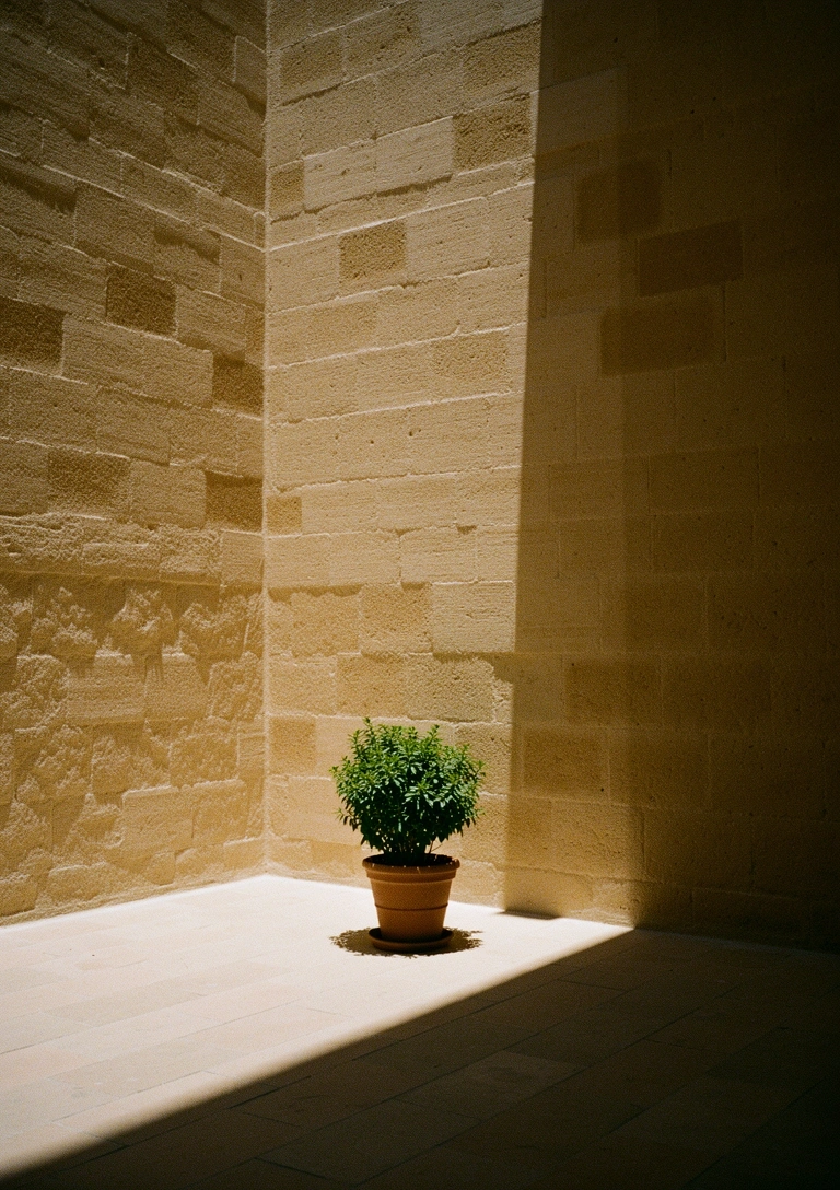 Espacio de calma arquitectónica en Sevilla